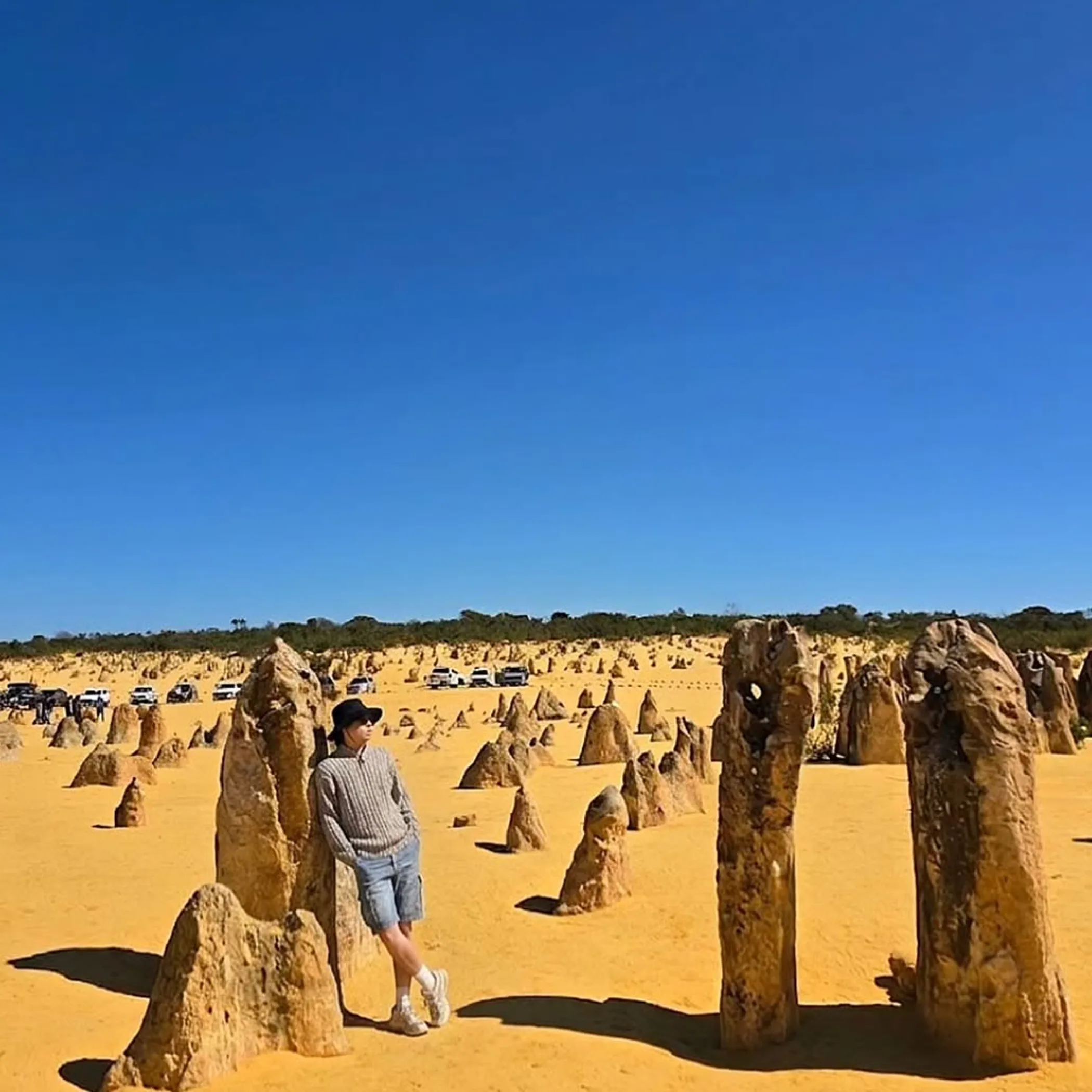 pinnacles desert in western australia