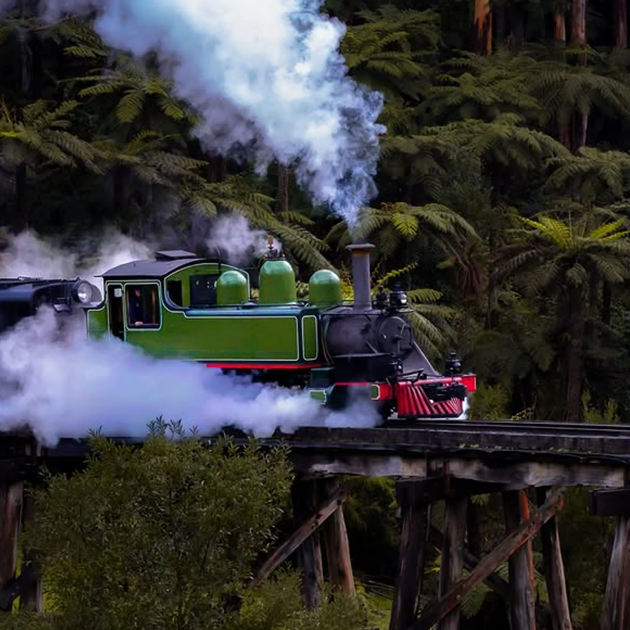 heritage steam train in misty forest valley