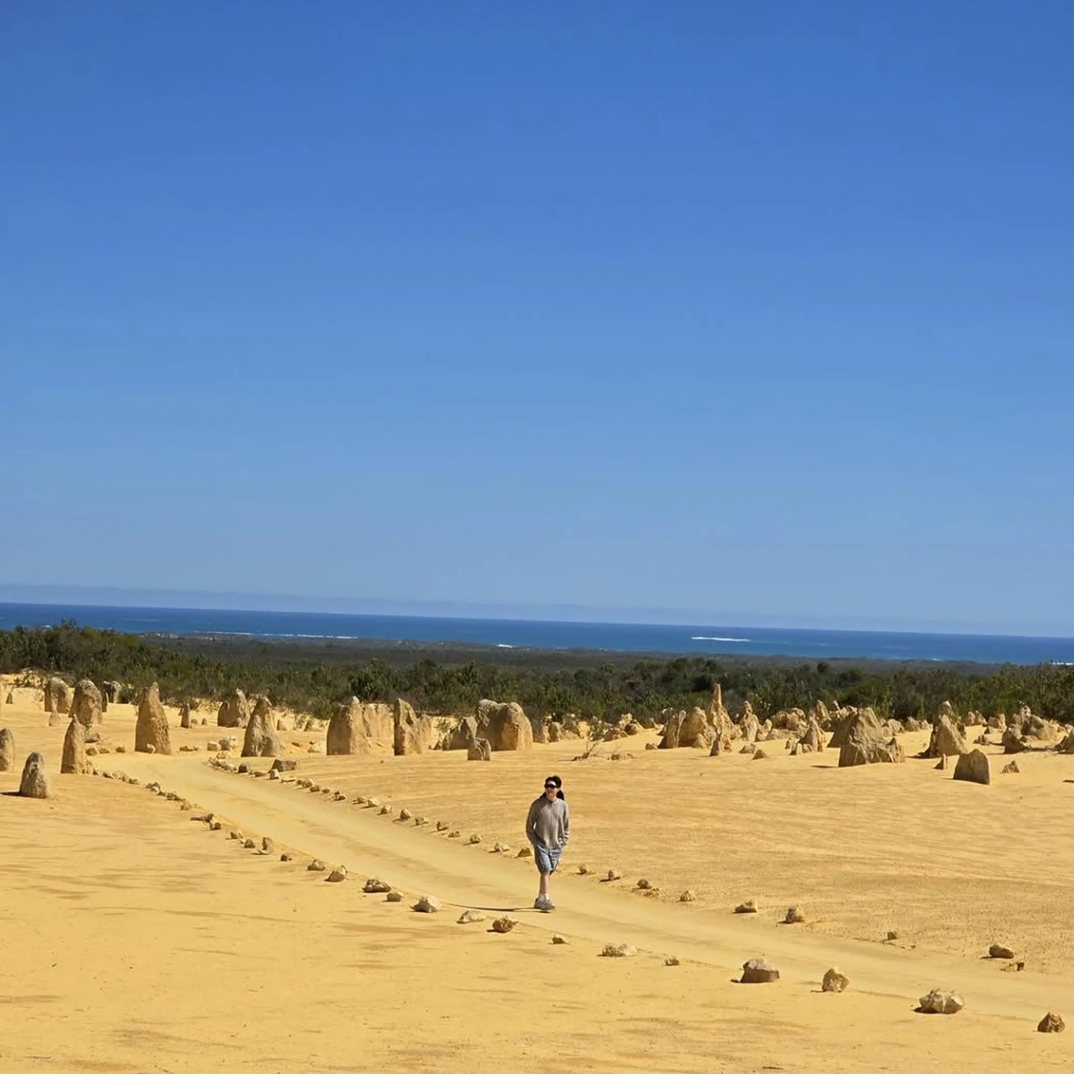 limestone pinnacles in western australia