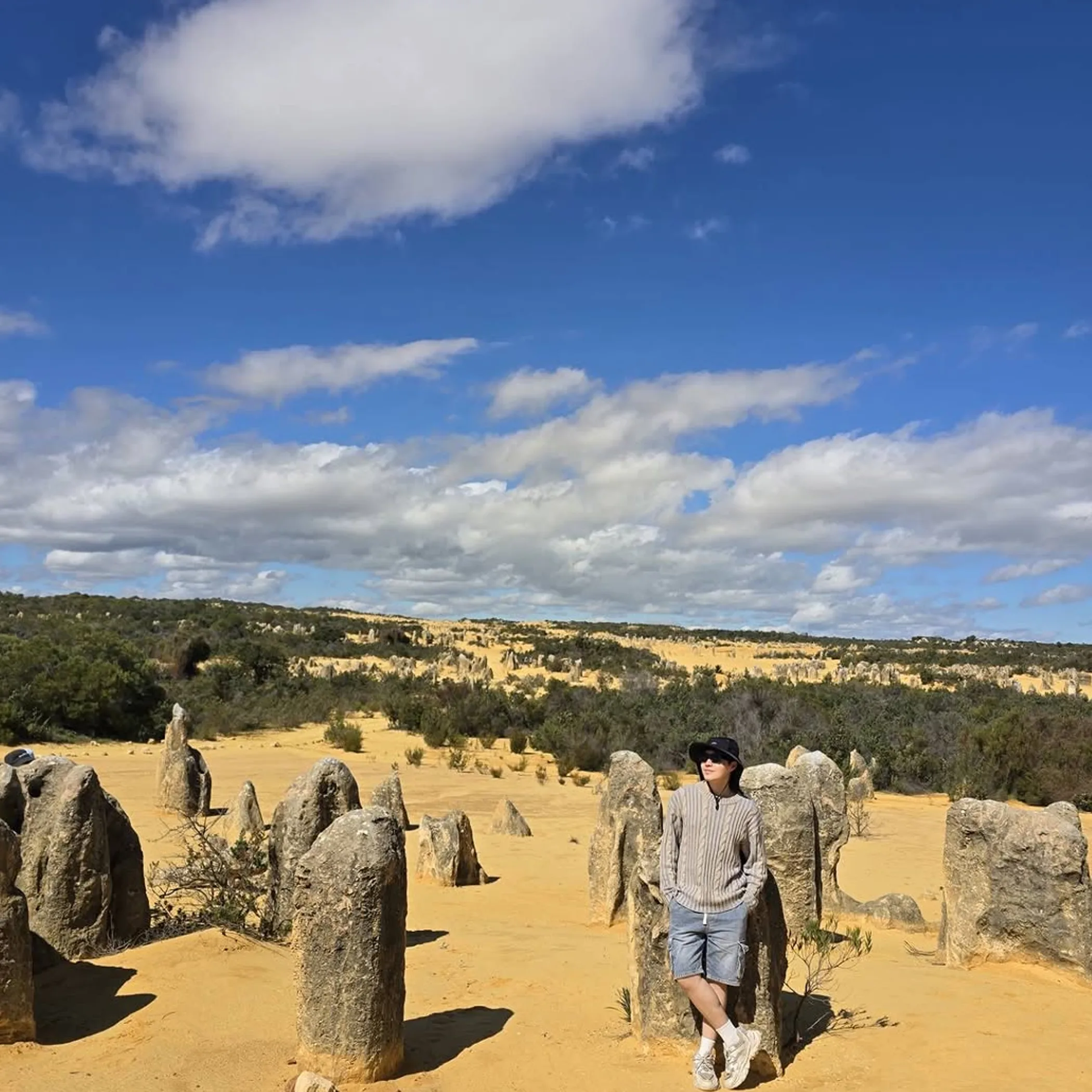 pinnacles desert landscape