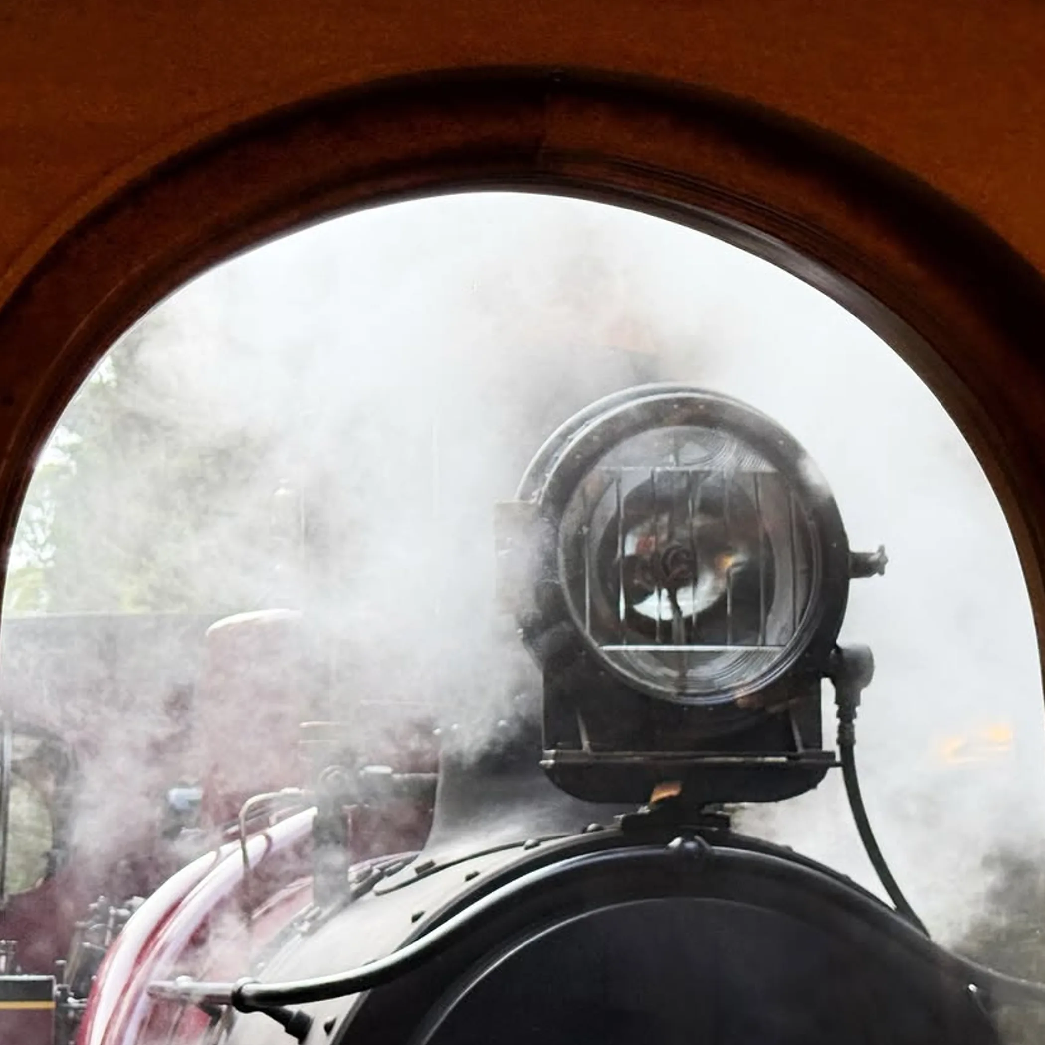 heritage steam train in tasmanian rainforest