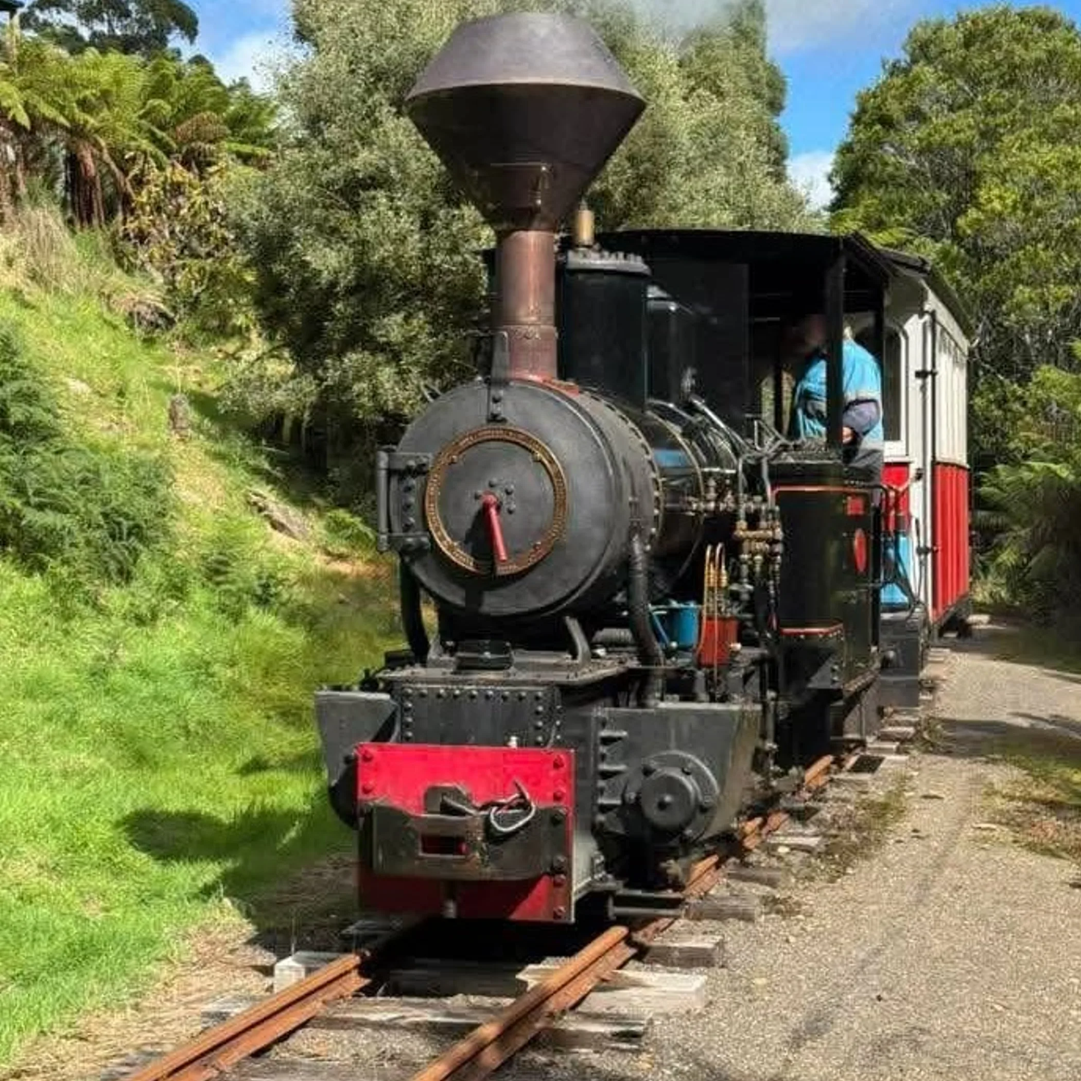 heritage steam train in lush valley