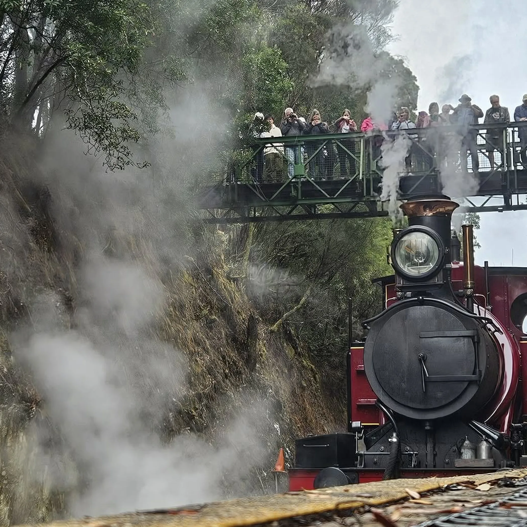 heritage steam train in australian valley