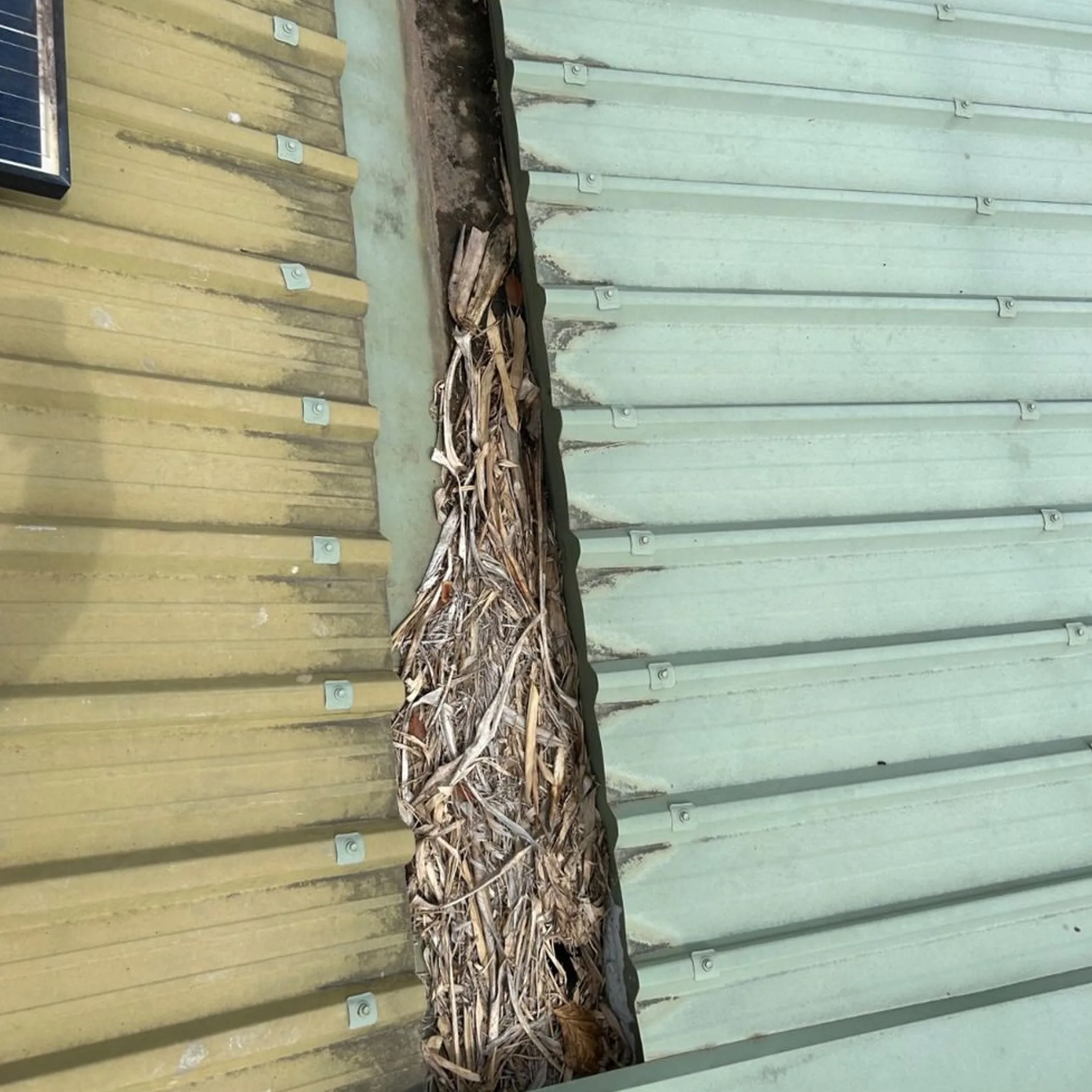 structural deterioration and exposed plant material