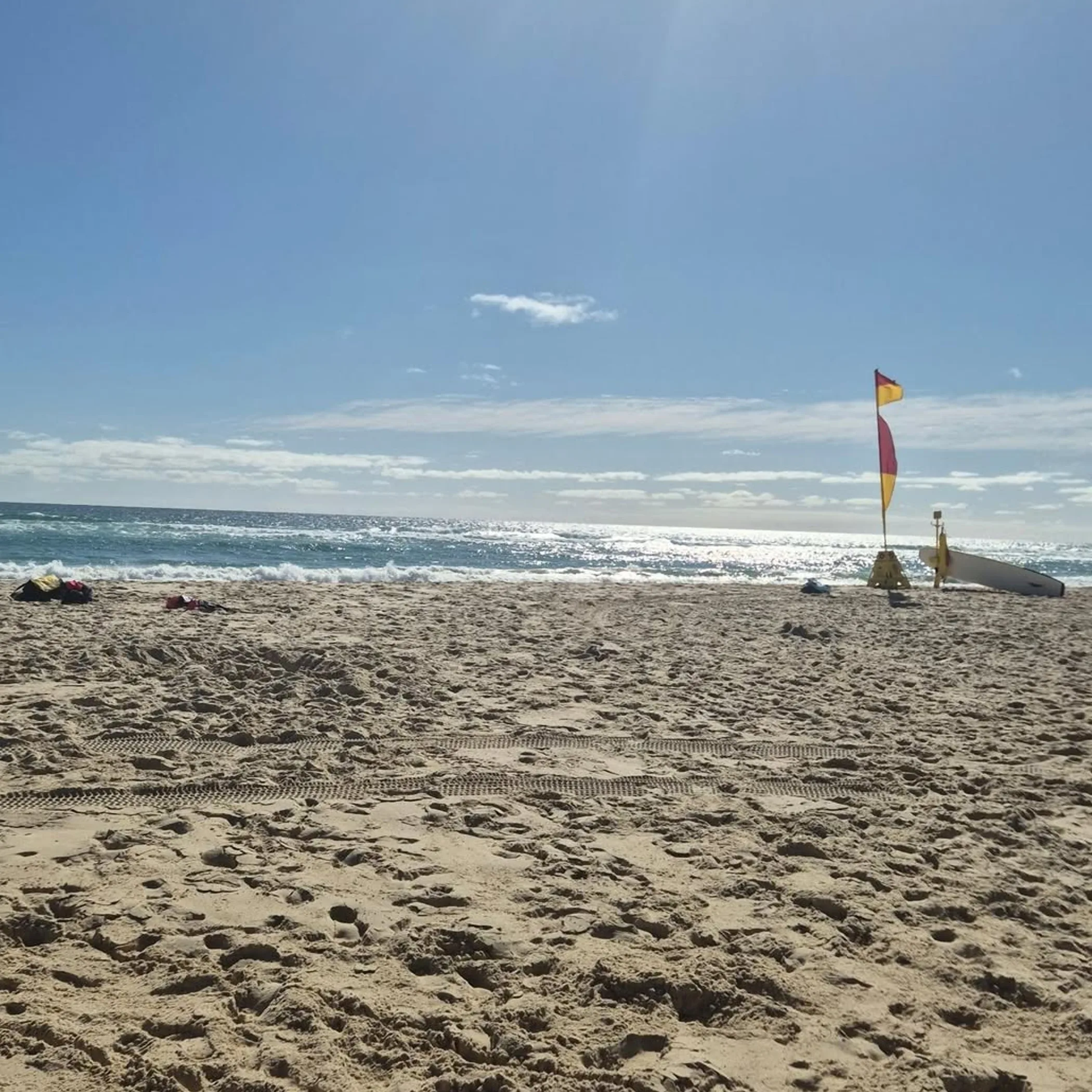 beach patrol with swim flags