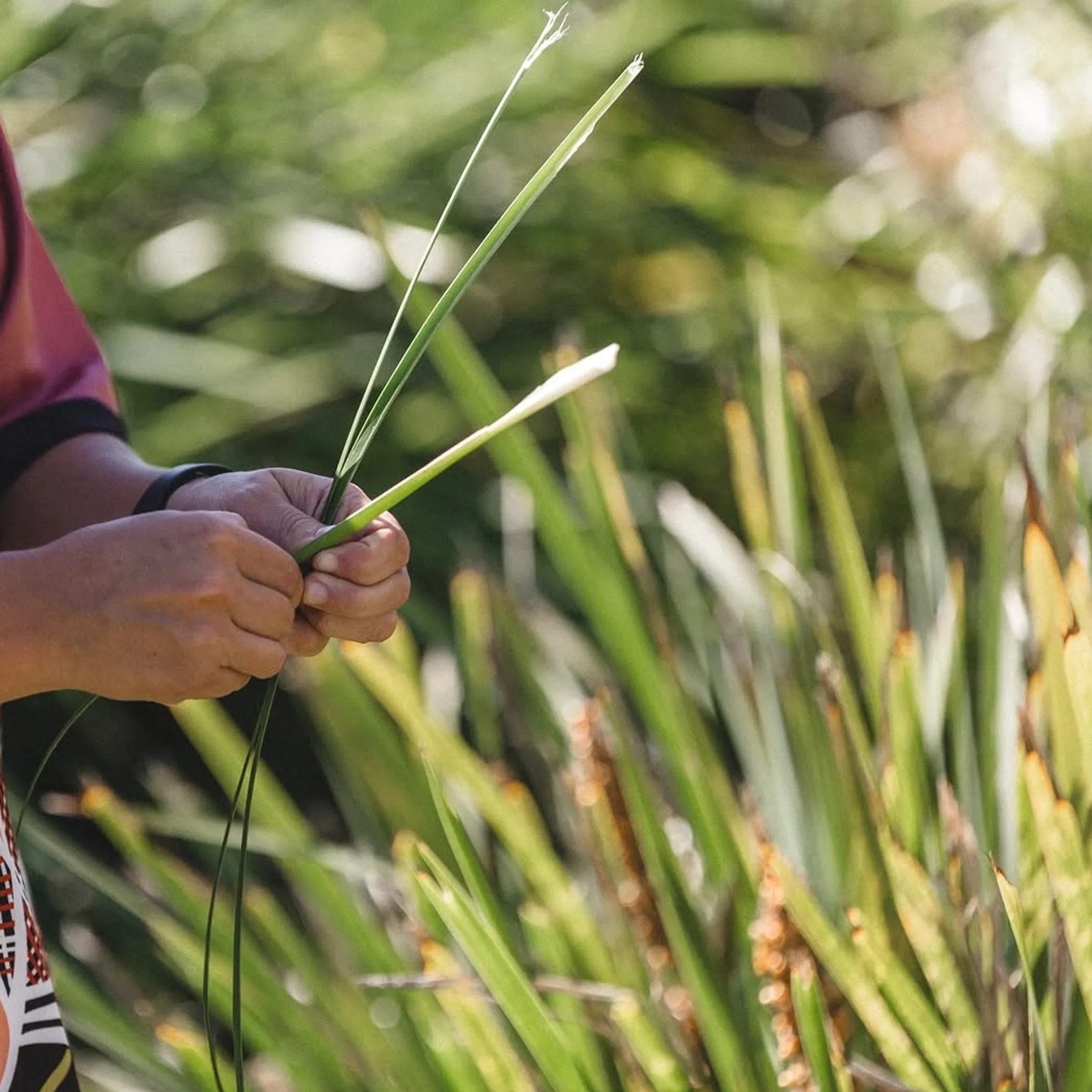 hands-on cultural activity connected to country