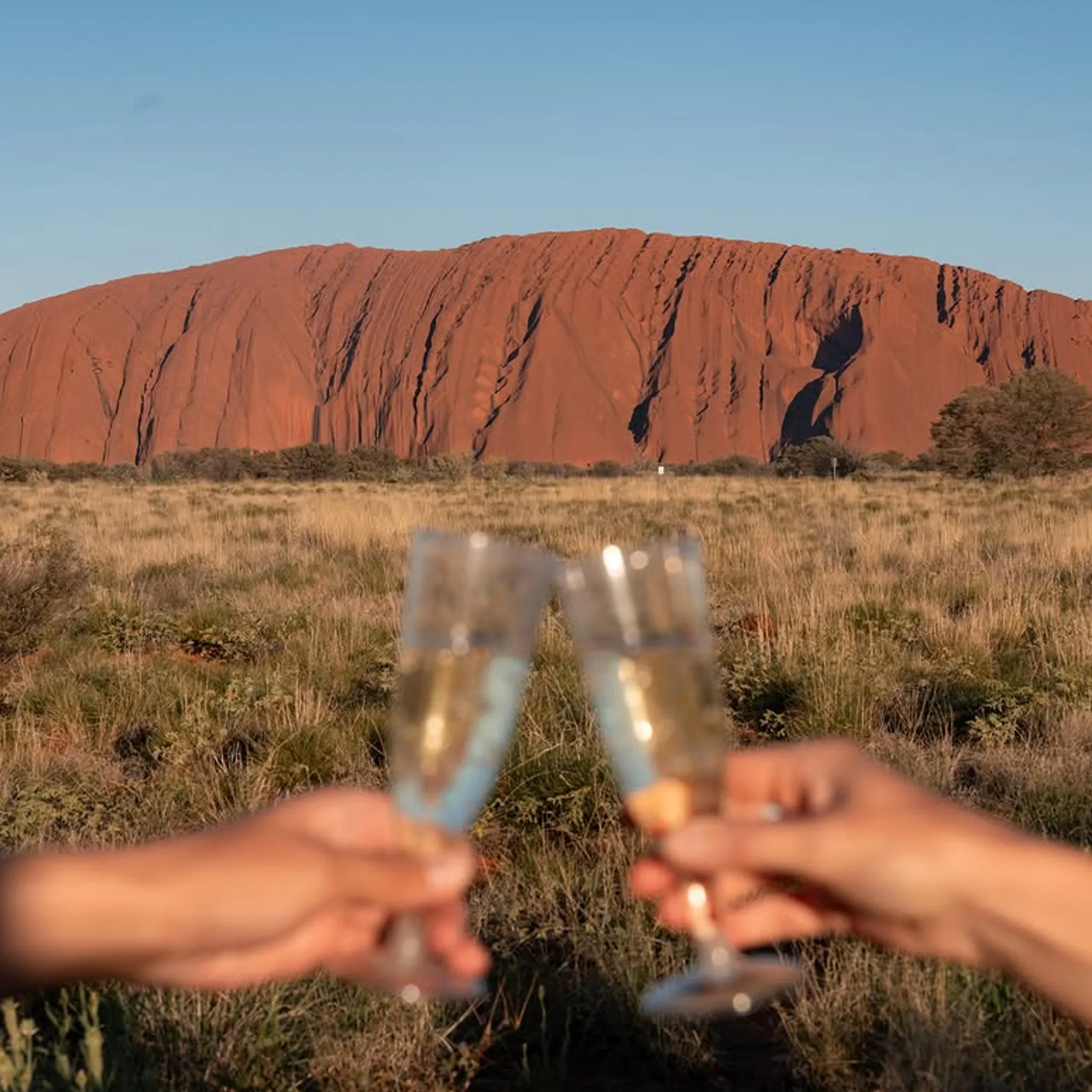 uluru with celebratory glasses